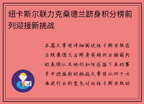 纽卡斯尔联力克桑德兰跻身积分榜前列迎接新挑战